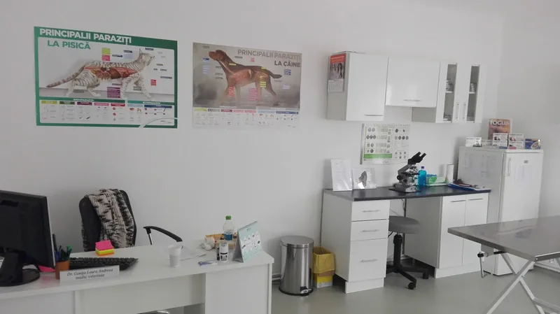 Sala de consultații a cabinetului Vetconsult